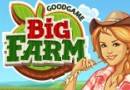 Big farm logo