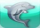 Dolphin Play logo